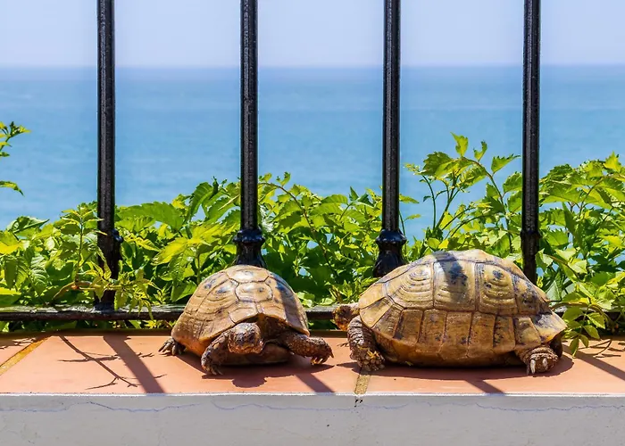 Casa Violeta - Vistas Al Mar Апартаменты